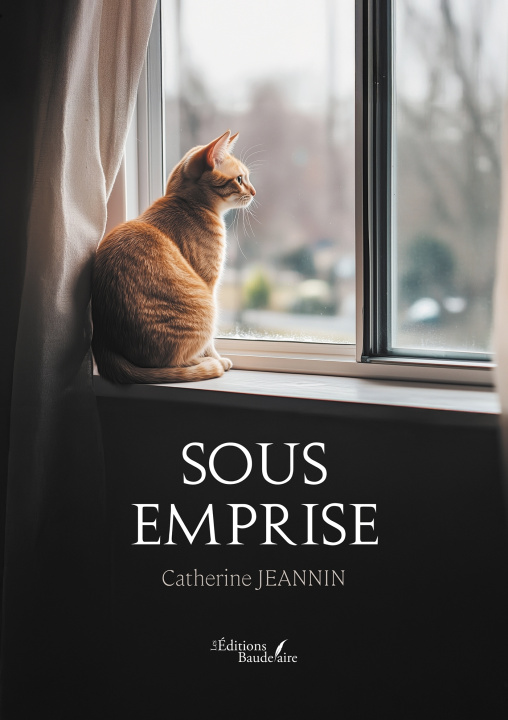 Buch Sous emprise Catherine JEANNIN