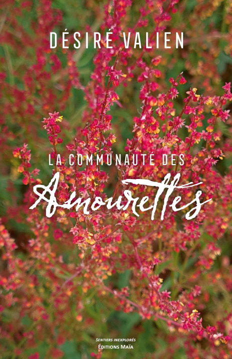 Carte La Communauté des Amourettes Désiré Valien