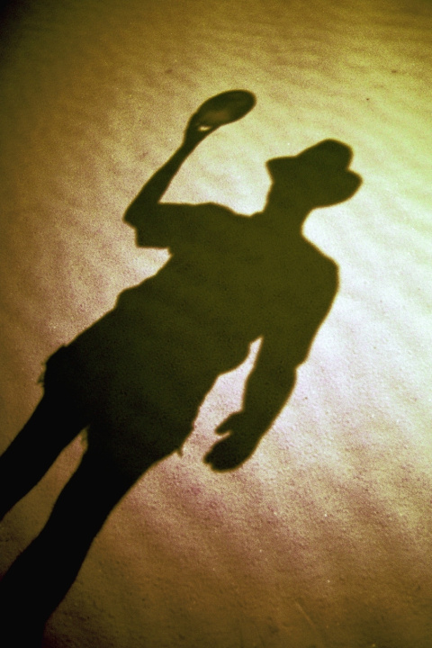 Knjiga Chasing Shadows H.E Chambers