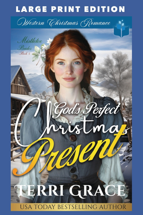 Boek God's Perfect Christmas Present Terri Grace