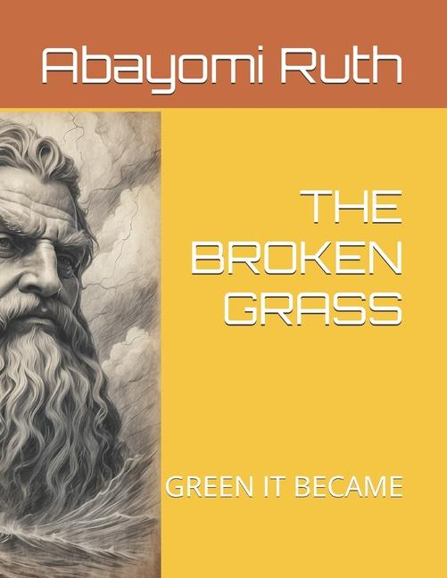 Knjiga The Broken Grass Abayomi Ruth