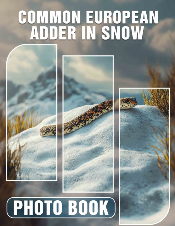 Boek Common European Adder In Snow Photo Book Marjorie Morgan