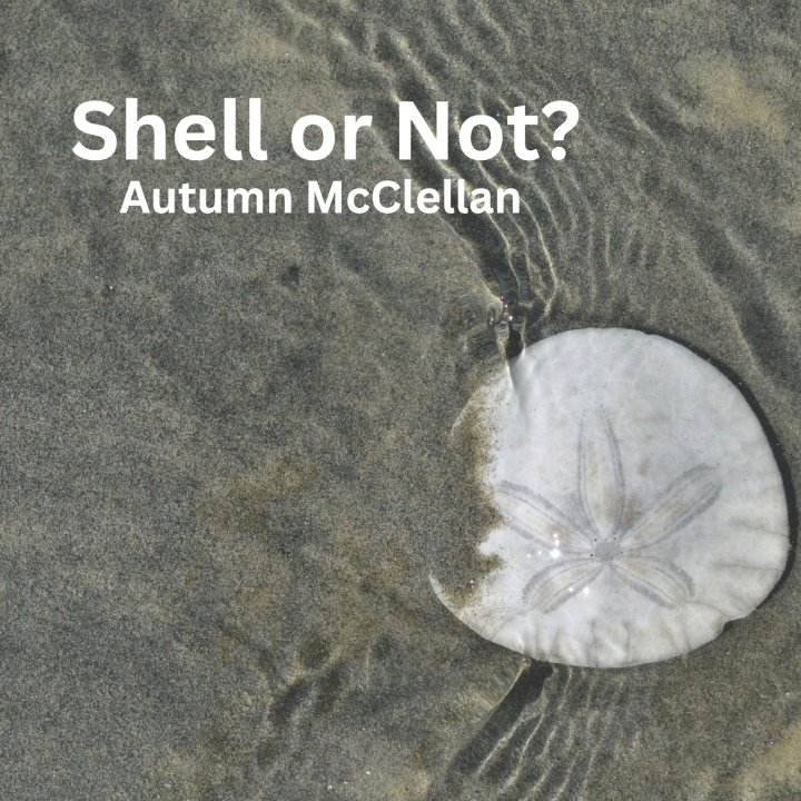 Knjiga Shell or Not? Autumn McClellan