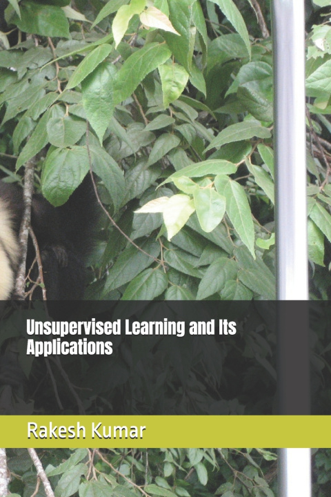 Buch Unsupervised Learning and Its Applications Rakesh Kumar