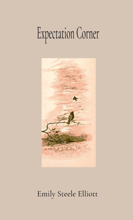 Knjiga Expectation Corner ANNOTATED GIFT EDITION Emily Steele Elliott
