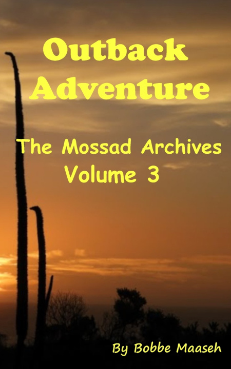 Kniha Outback Adventure Bobbe Maaseh