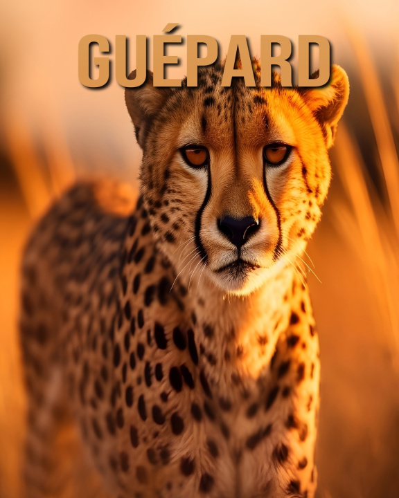 Knjiga Guépard Tristan Fairwood