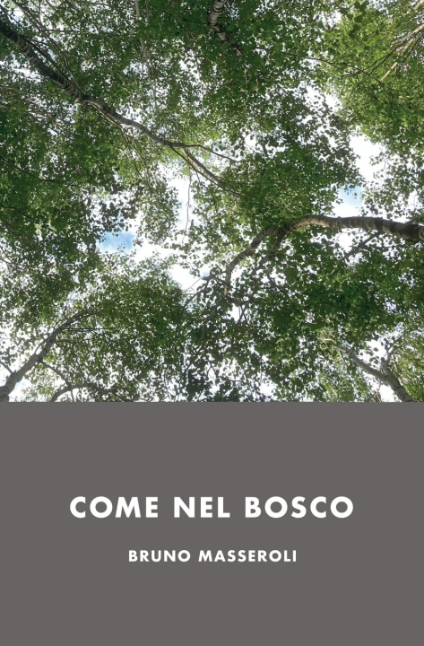 Livro Come nel bosco Bruno Masseroli