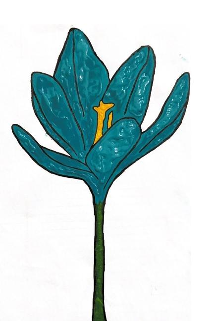Knjiga Violets Are Blue Aydan Ikaika Simpliciano