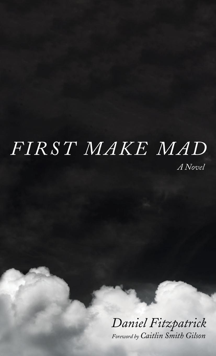 Knjiga First Make Mad Daniel Fitzpatrick