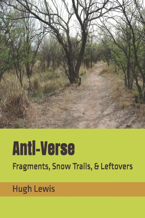 Knjiga Anti-Verse Hugh M Lewis