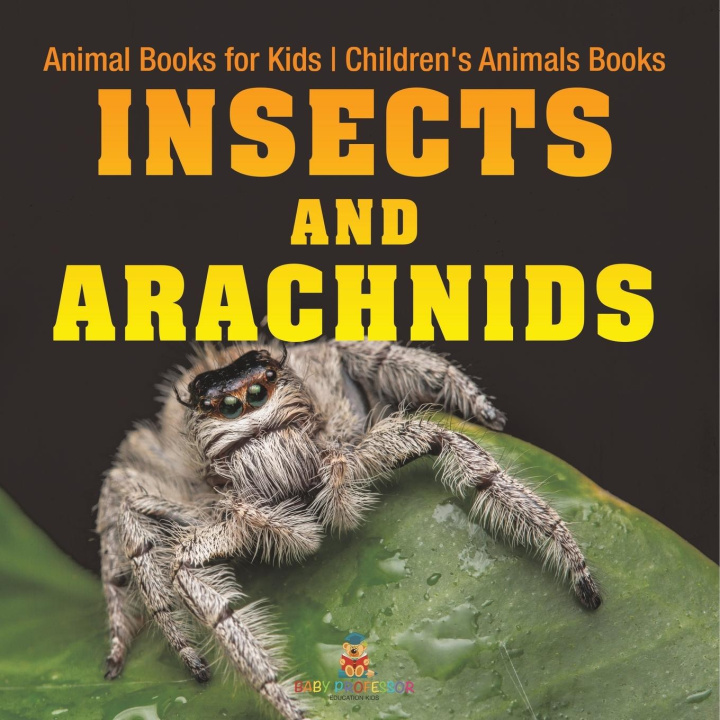 Knjiga Insects and Arachnids Baby Professor