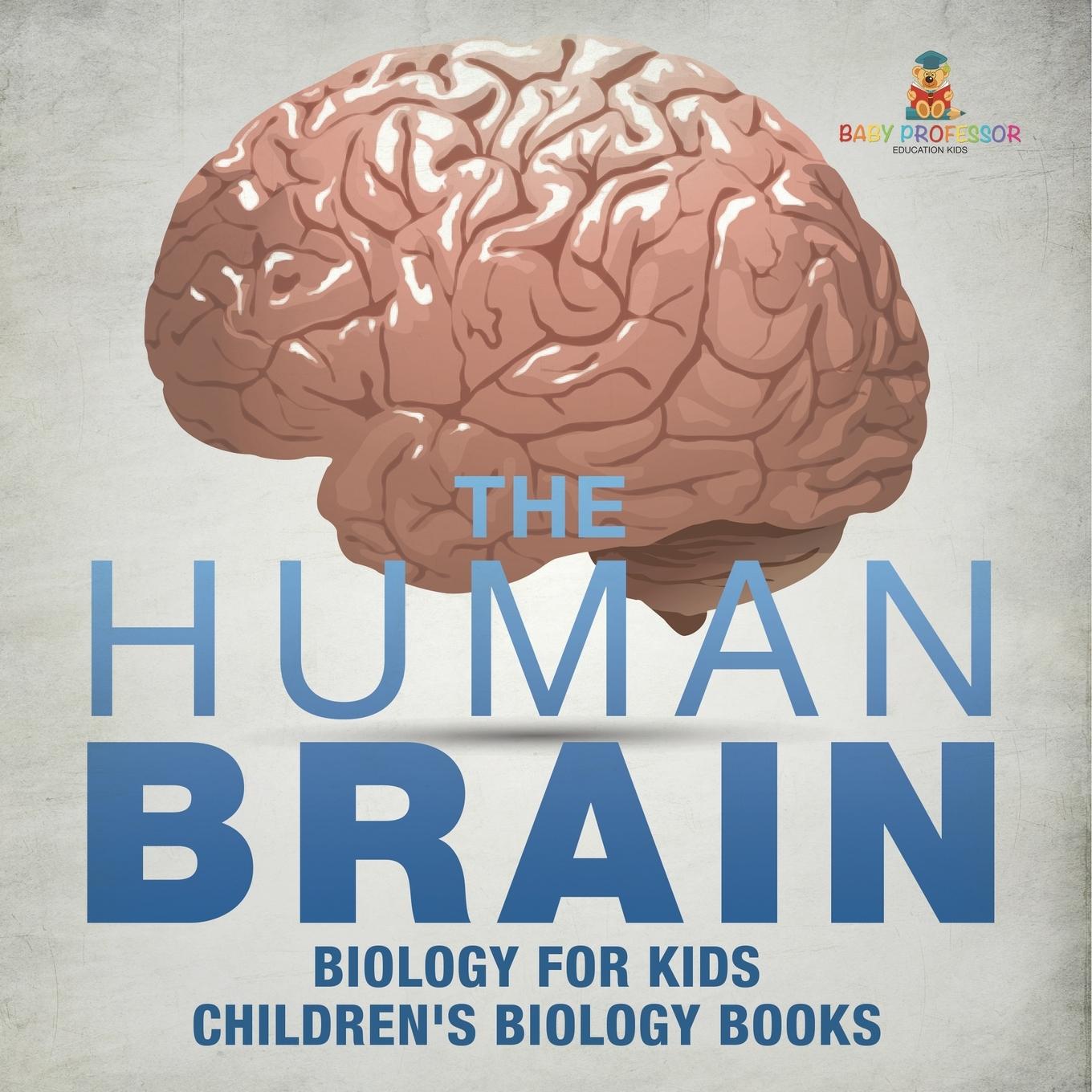 Libro The Human Brain - Biology for Kids | Children's Biology Books Baby Professor