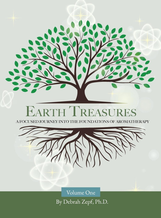 Knjiga Earth Treasures Debrah Zepf