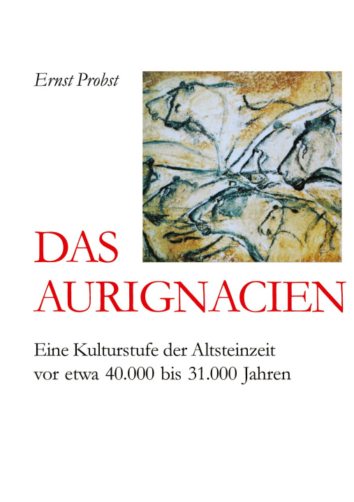 Knjiga Das Aurignacien Ernst Probst