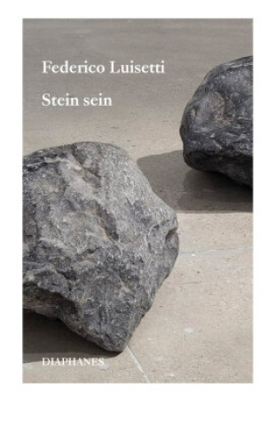 Boek Stein sein Federico Luisetti