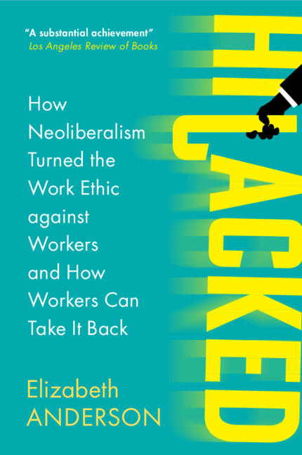 Book Hijacked Elizabeth Anderson