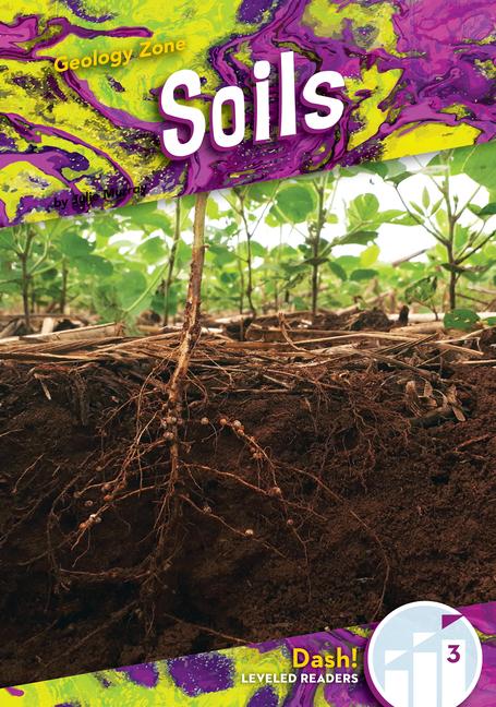Knjiga Soils 