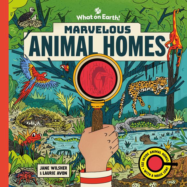 Knjiga Marvelous Animal Homes Laurie Avon