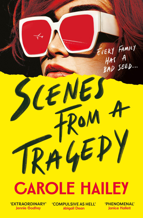 Kniha Scenes from a Tragedy Carole Hailey
