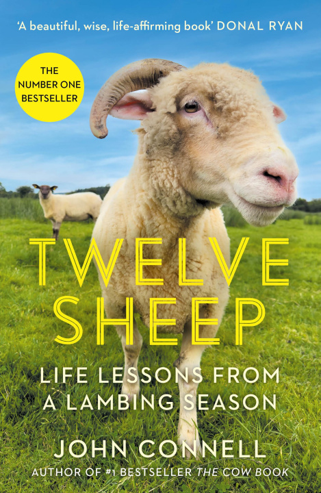 Kniha Twelve Sheep John Connell