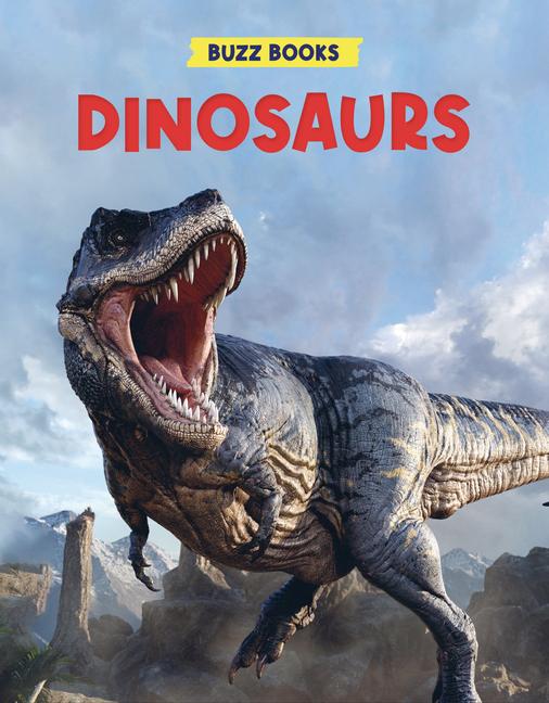 Libro Dinosaurs 