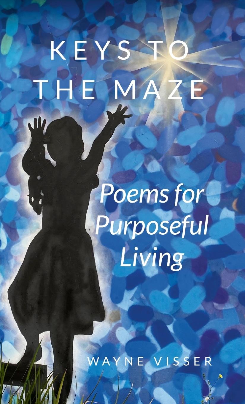 Knjiga Keys to the Maze Wayne Visser