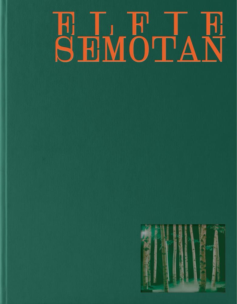 Book ELFIE SEMOTAN Alfred Weidinger