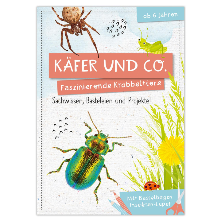 Carte Activity Heft: Käfer und Co. Anna Linstadt