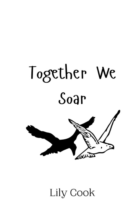 Kniha Together We Soar Lily Cook