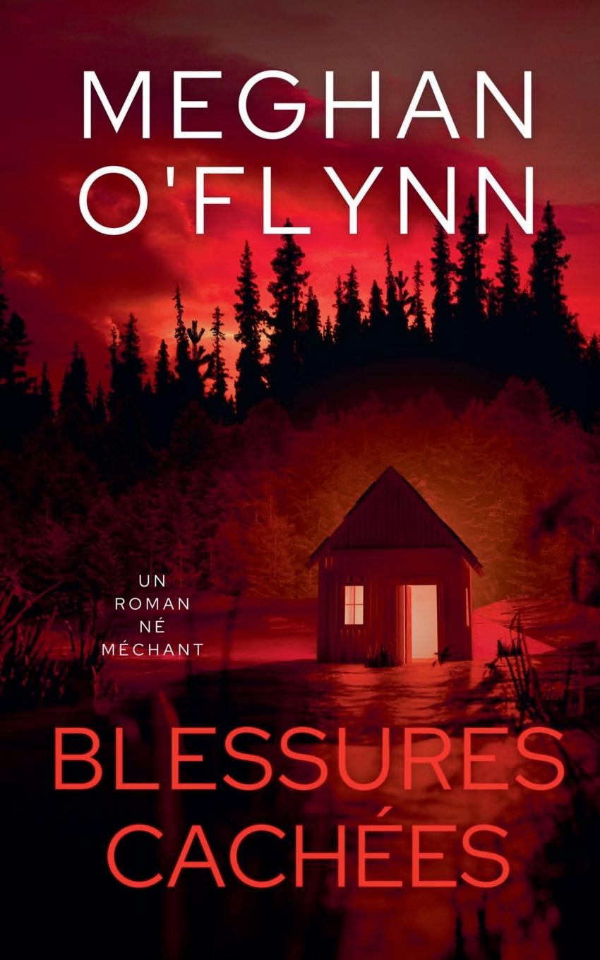 Knjiga Blessures Cachées Meghan O'Flynn