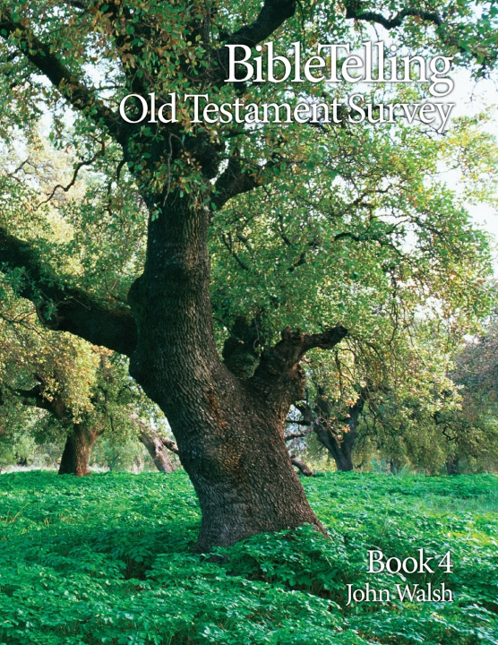 Kniha BibleTelling Old Testament Survey Jan Walsh