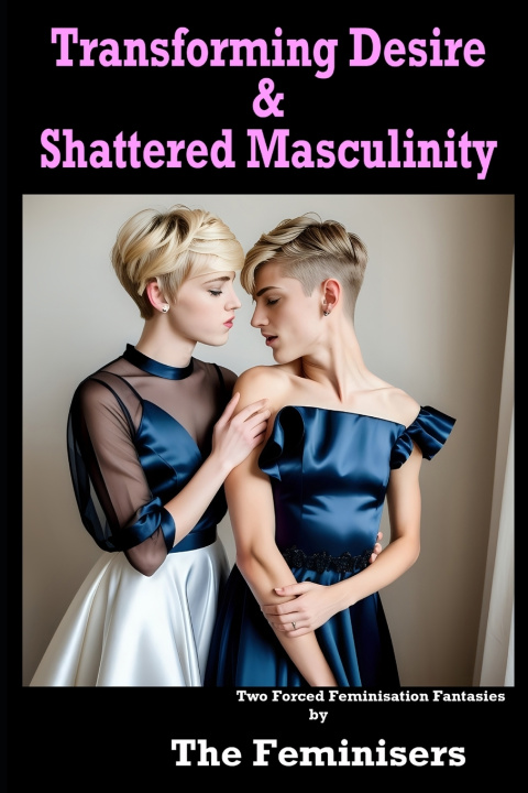 Knjiga Transforming Desire & Shattered Masculinity Satinmaid