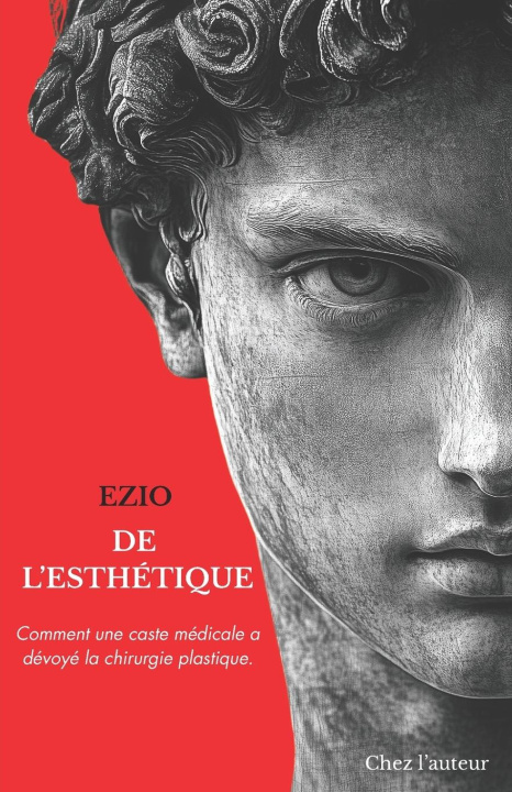 Knjiga De l'esthétique Ezio Wenzel