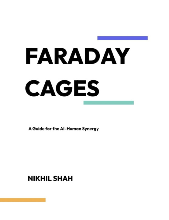 Buch Faraday Cages Sony Shah