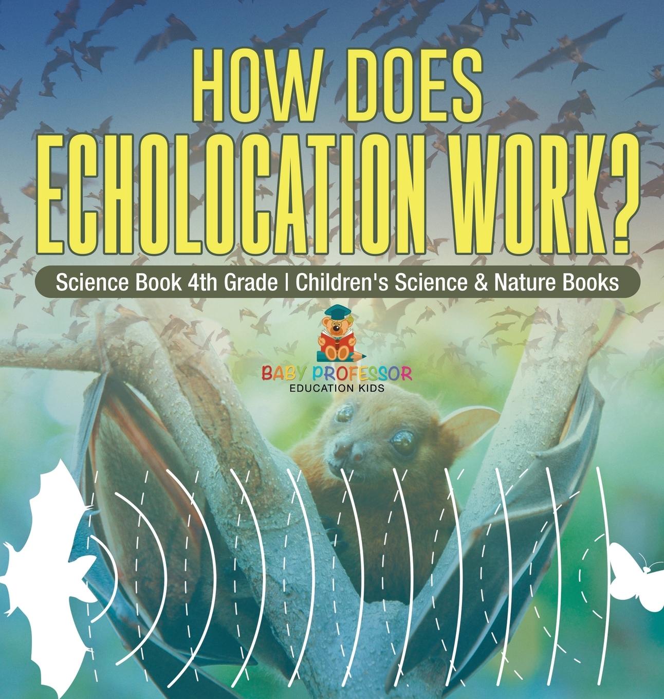 Knjiga How Does Echolocation Work? Science Book 4th Grade Children's Science & Nature Books Baby Professor