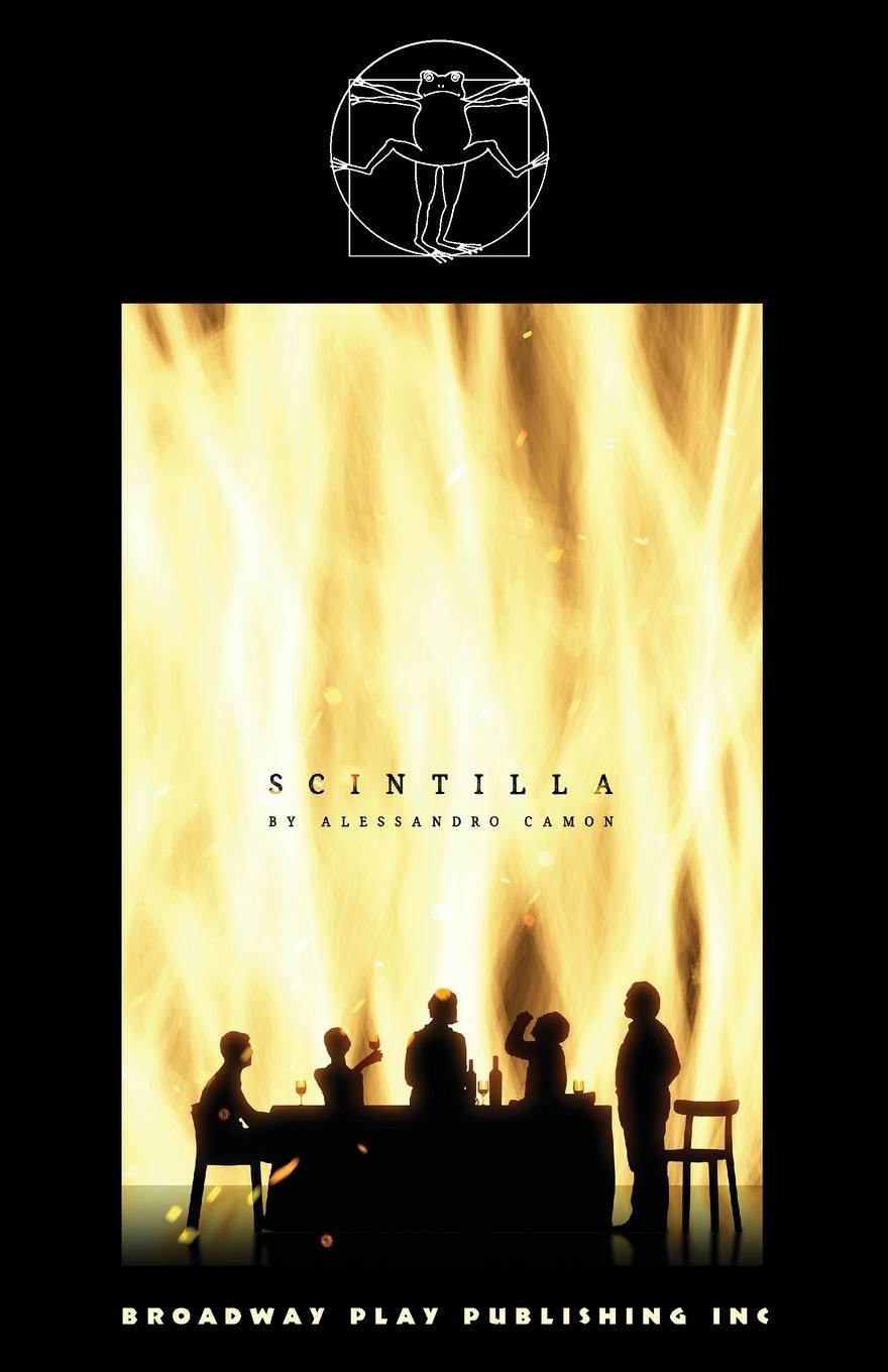 Book Scintilla Alessandro Camon