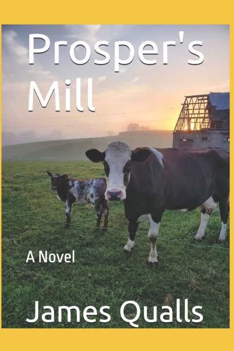 Knjiga Prosper's Mill James Qualls