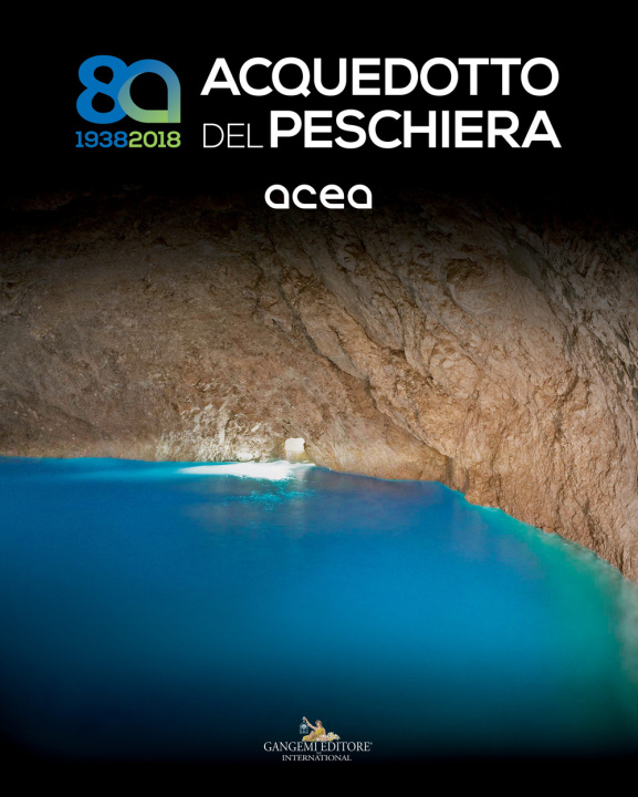 Buch Acquedotto del Peschiera (1938-2018) Alessandro Nicosia