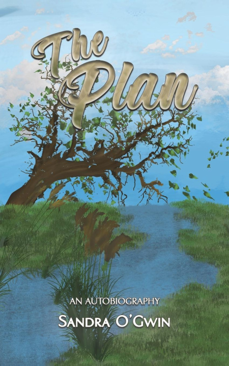 Knjiga The Plan Sandra O'Gwin