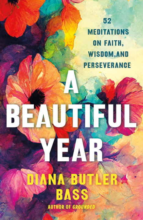 Buch A Beautiful Year BASS DIANA BUTLER
