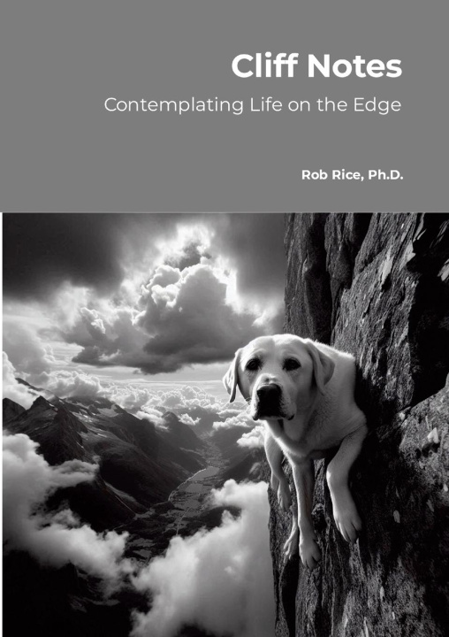 Knjiga Cliff Notes Robert Rice
