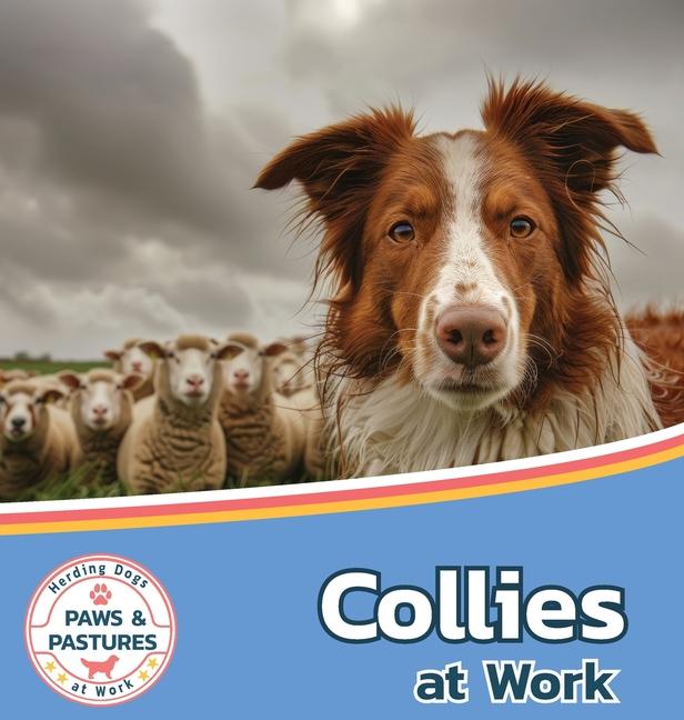 Kniha Collies at Work Sabrina Lakes