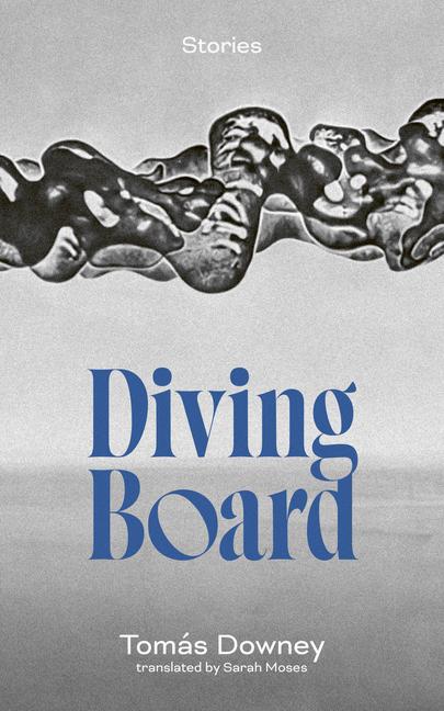 Knjiga Diving Board Sarah Moses
