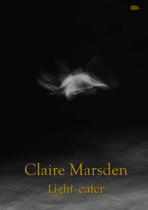 Knjiga Light-eater Claire Marsden
