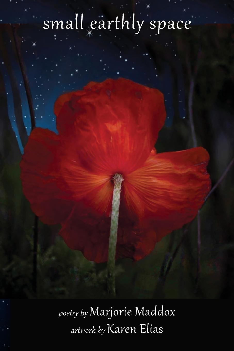 Knjiga Small Earthly Space Marjorie Maddox