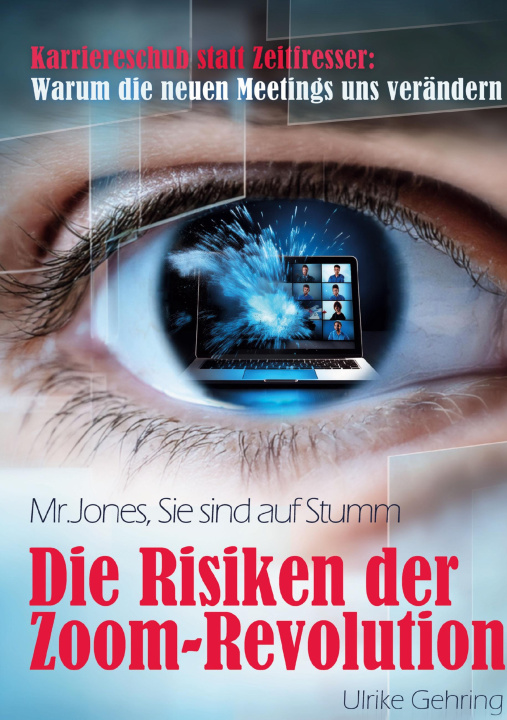 Knjiga Die Risiken der Zoom-Revolution 