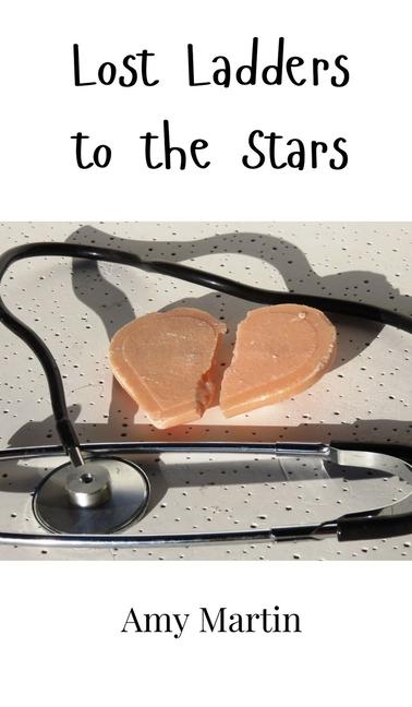 Book Lost Ladders to the Stars Amy Martin