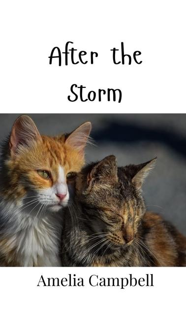 Boek After the Storm Amelia Campbell