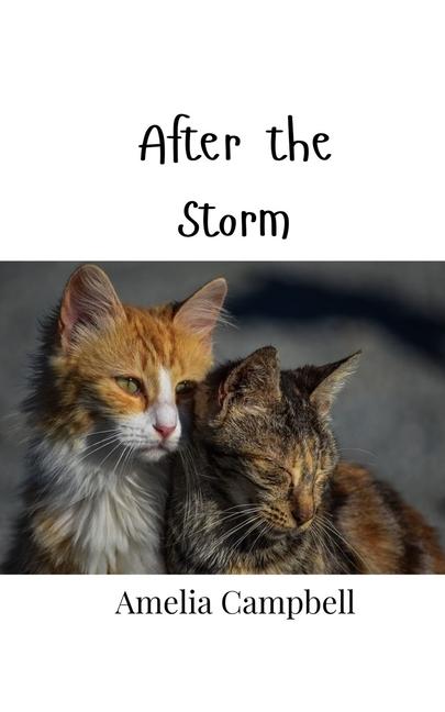 Boek After the Storm Amelia Campbell